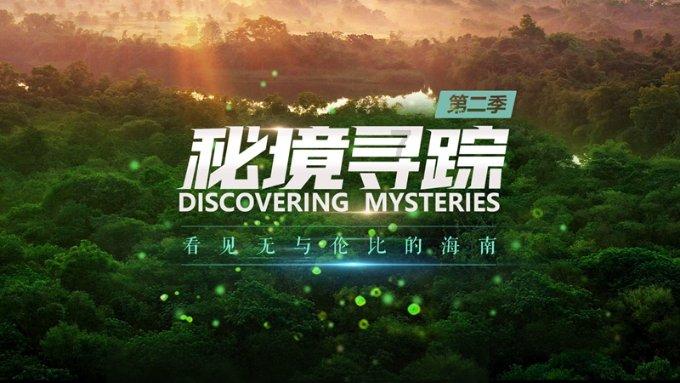 工作回顾丨建诤言谋良策出实招 ​ 助力打造世界级数控机床产业集群