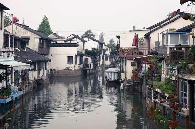 组装机械警暴龙2